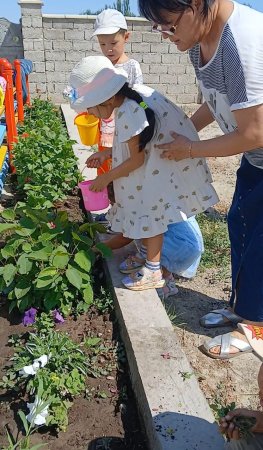 Жазғы сауықтыру іс-шарасы "Балабақшаның табиғат бұрышына саяхат"тәрбиеші Ертаева Айгуль Советовна